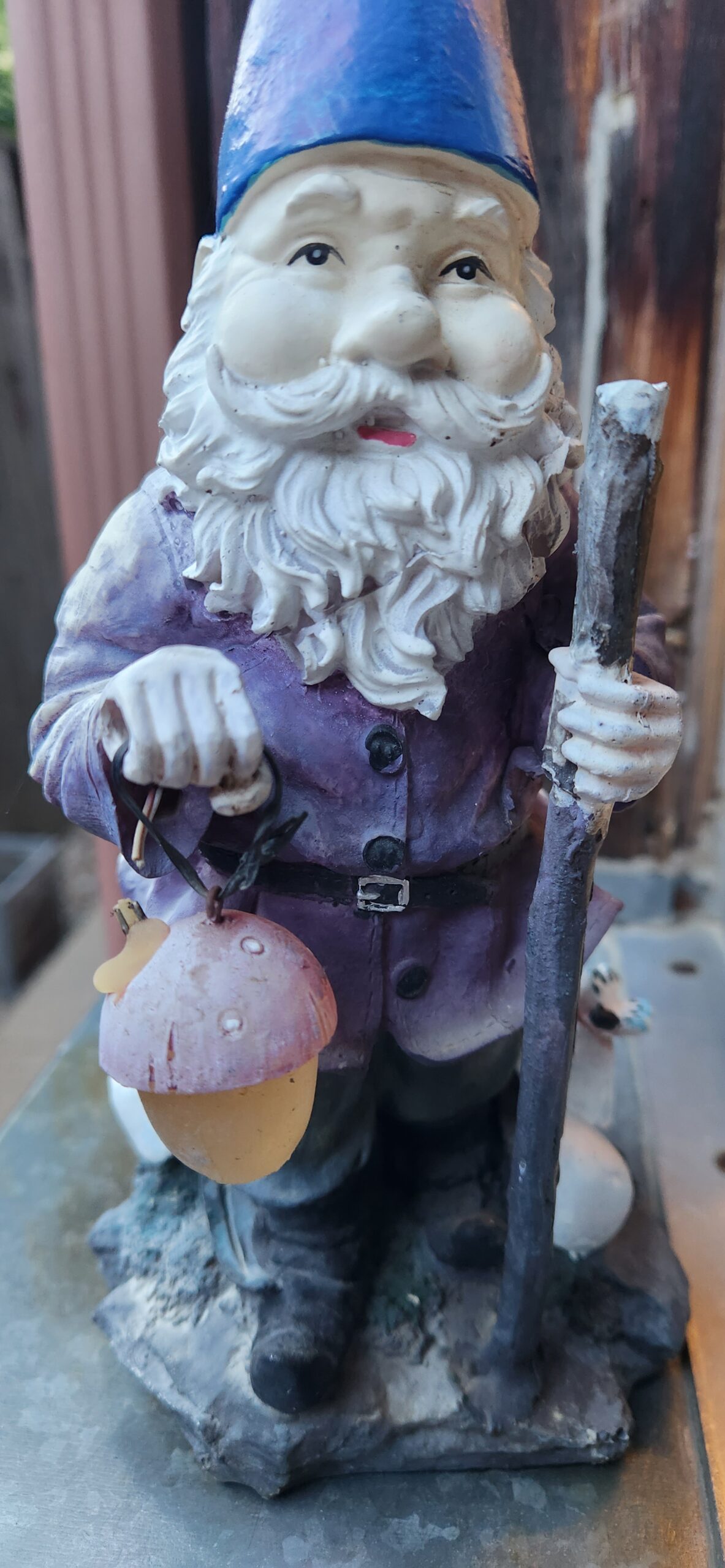 The Gnomads